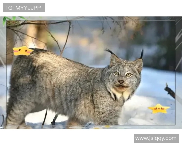 牛津联与艾宁顿的激烈对决谁能在这场比赛中笑到最后 牛津联与艾宁顿的激烈对决谁能在这场比赛中笑到最后